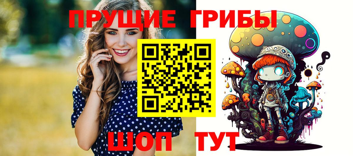 Галлюциногенные грибы Psilocybe Красноармейск