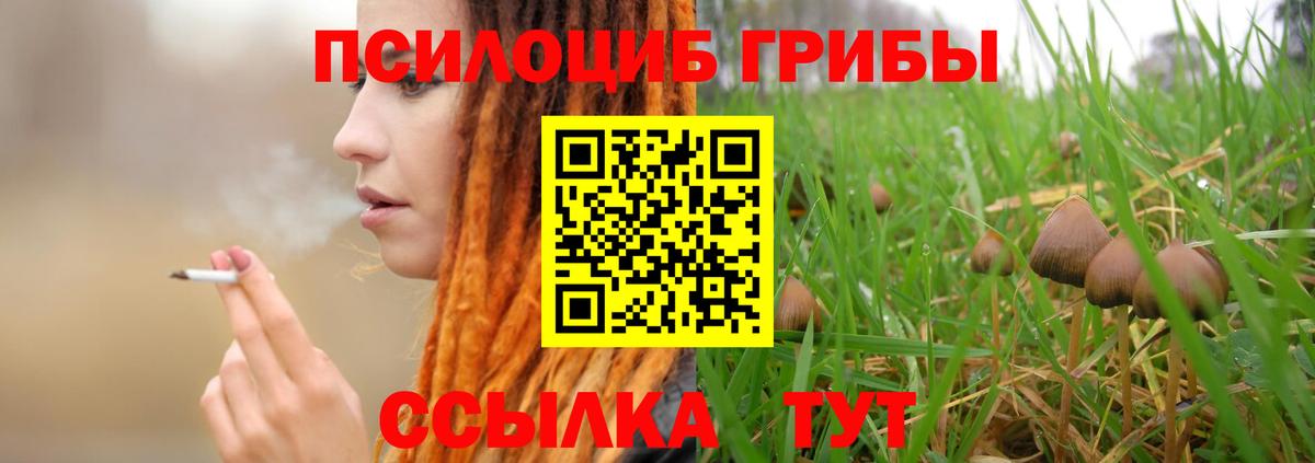 Псилоцибиновые грибы прущие грибы  Галлюциногенные грибы Magic Shrooms  Красноармейск  Вход с VPN 